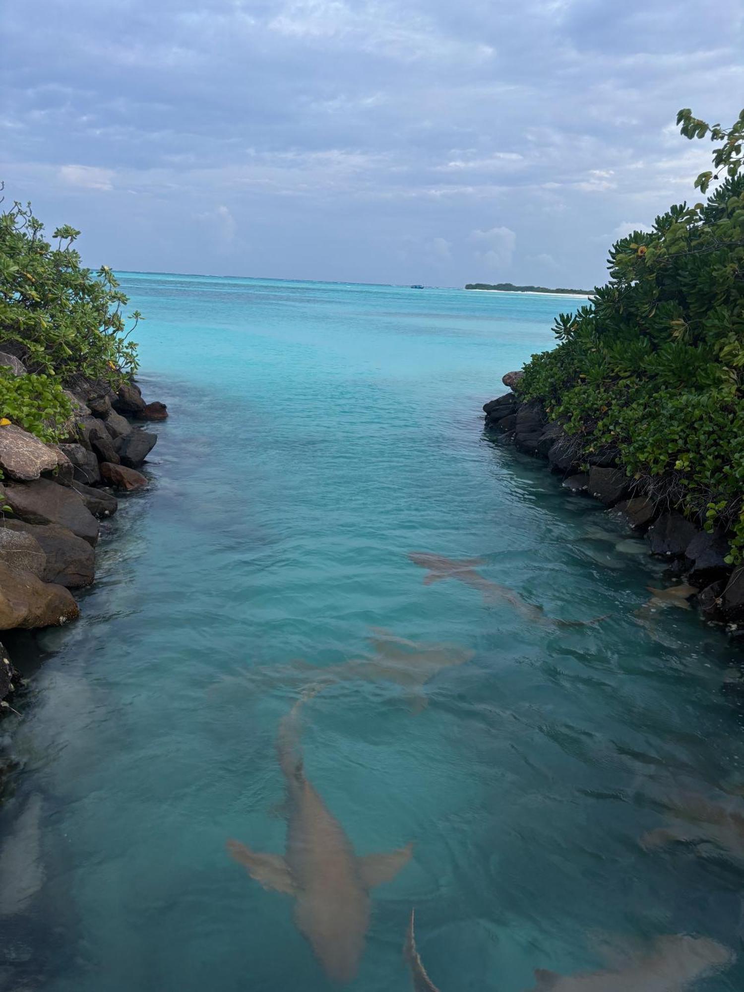 Mathiveri Thundi Inn Luaran gambar